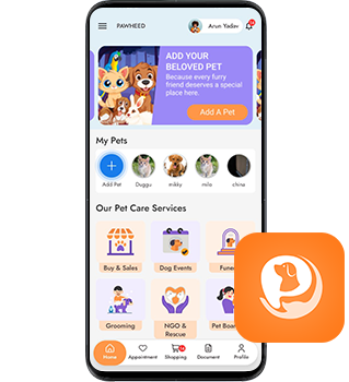 Provider App QR Code