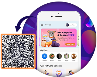 Provider App QR Code